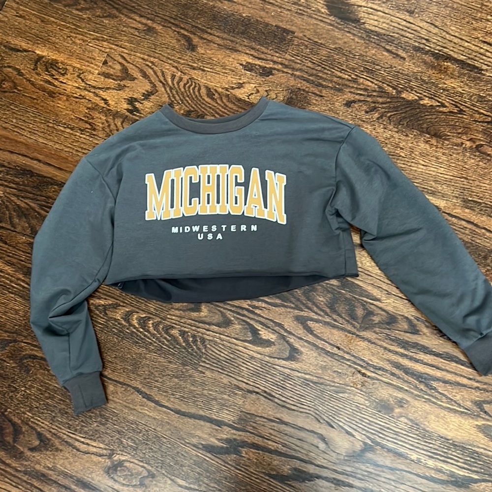 Cropped gray long sleeve shirt